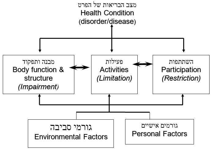 המודל של ארגון הבריאות העולמי (WHO, 2001)