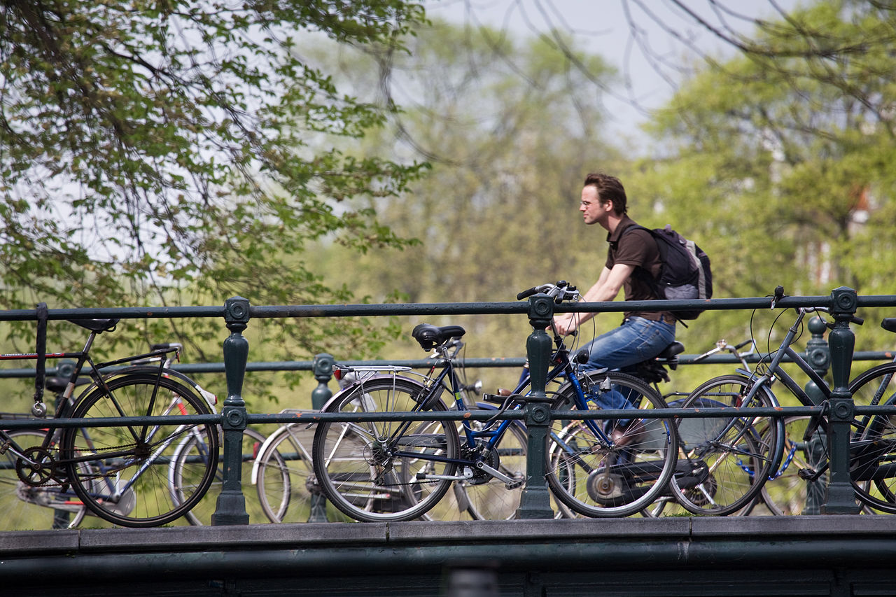 אופניים בהולנד