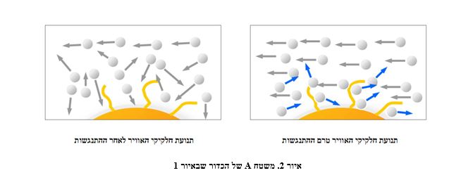 איור 2. משטח A של הכדור שבאיור 1