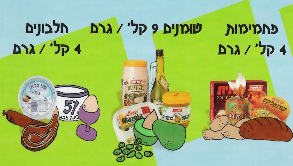 מקורות האנרגיה במזון