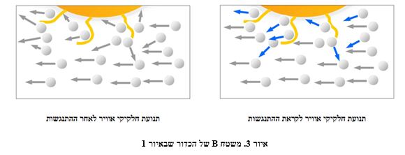 איור 3. משטח B של הכדור שבאיור 1