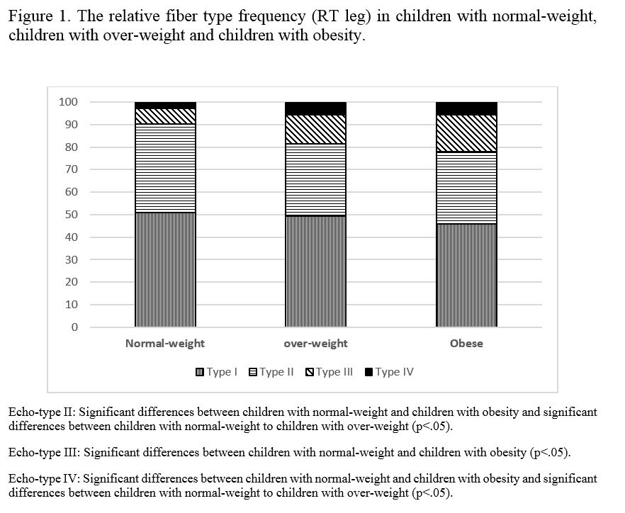 Figure 1. The relative fiber type frequency (RT leg) in children with normal-weight, children with over-weight and children with obesity.