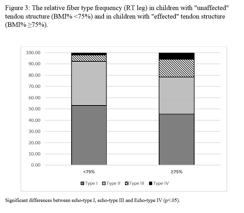Figure 3: The relative fiber type frequency (RT leg) in children with "unaffected" tendon structure (BMI% <75%) and in children with "effected" tendon structure (BMI% ≥75%).