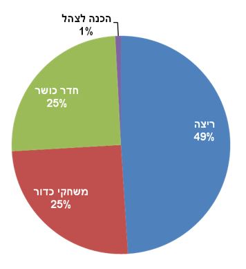 פעילויות נפוצות בקרב תלמידי כיתות י"ב   